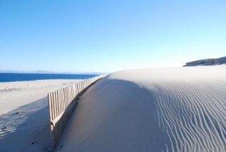 Playa de Punta Paloma.JPG